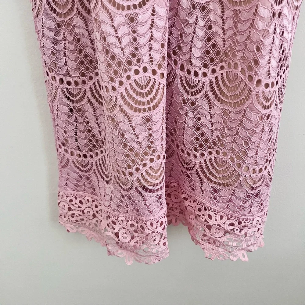 Current Air Affair Pink Lace Dress - Picture 13 of 16